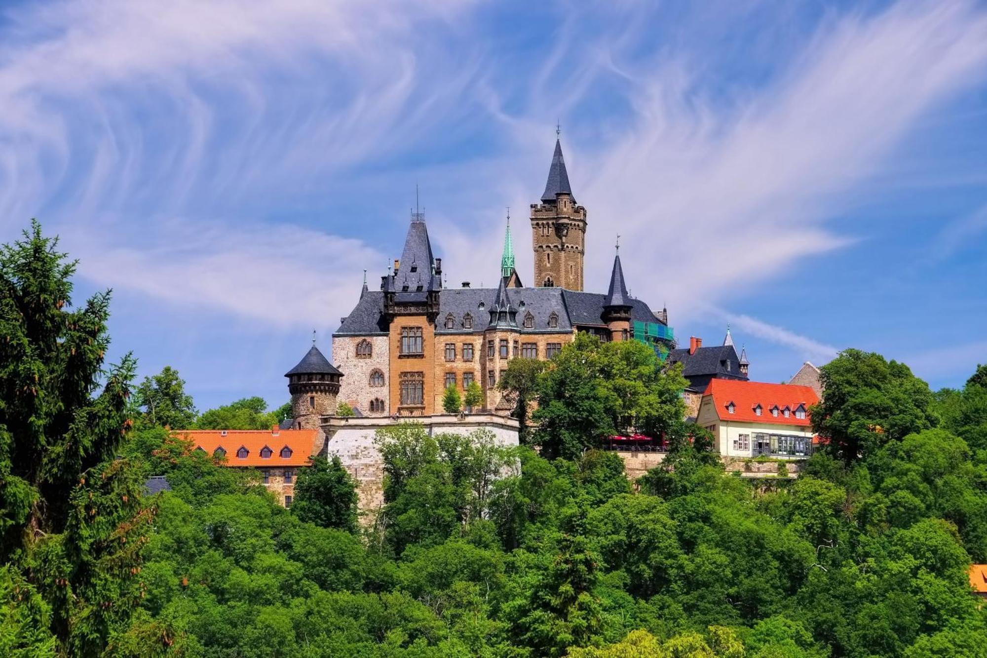 Fewo Rubezahl Mit Kamin Apartamento Bad Harzburg Exterior foto